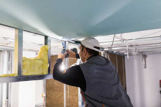 Types of Insulation We Offer in Farmers Branch, TX